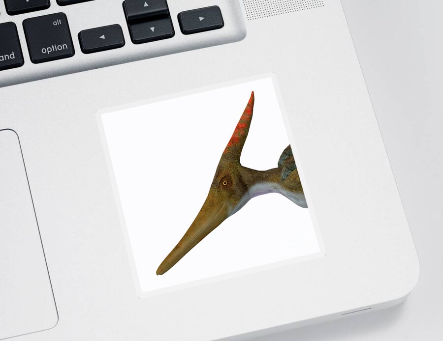 Pteranodon Sticker featuring the digital art Pteranodon Reptile Head by Corey Ford