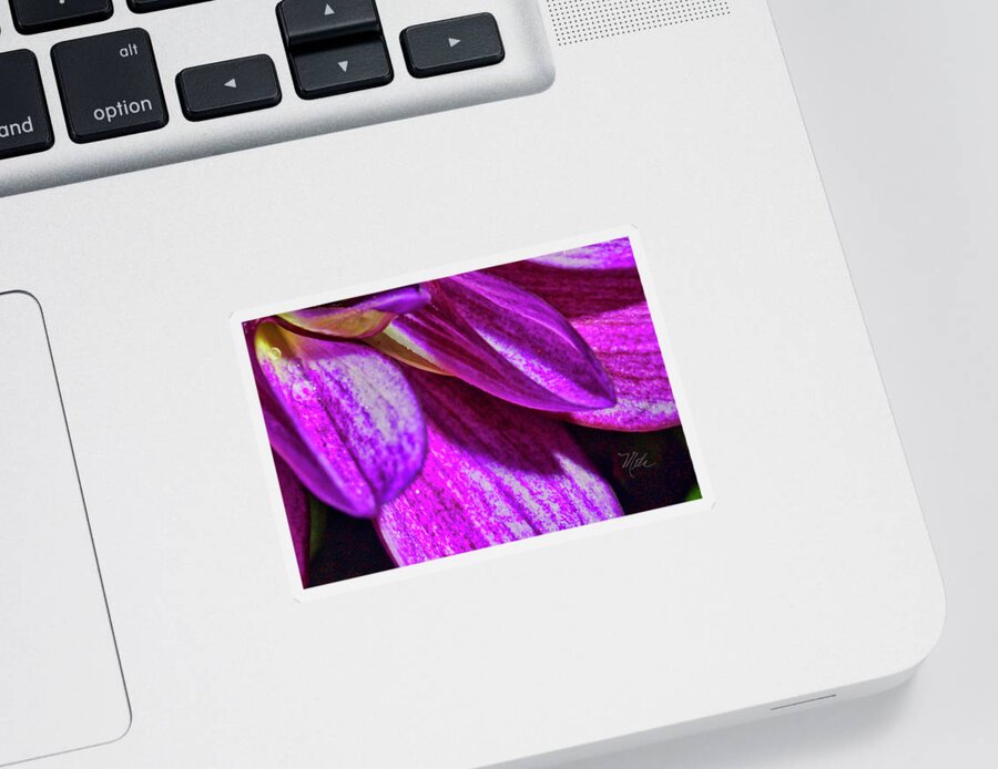 Macro Photography Sticker featuring the photograph Purple Petals by Meta Gatschenberger