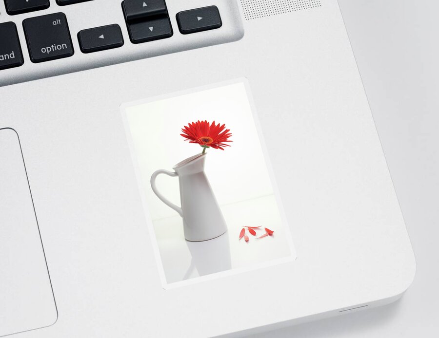 Flower Sticker featuring the photograph Red Gazania flower on a white stylish vase. Creative Still life by Michalakis Ppalis