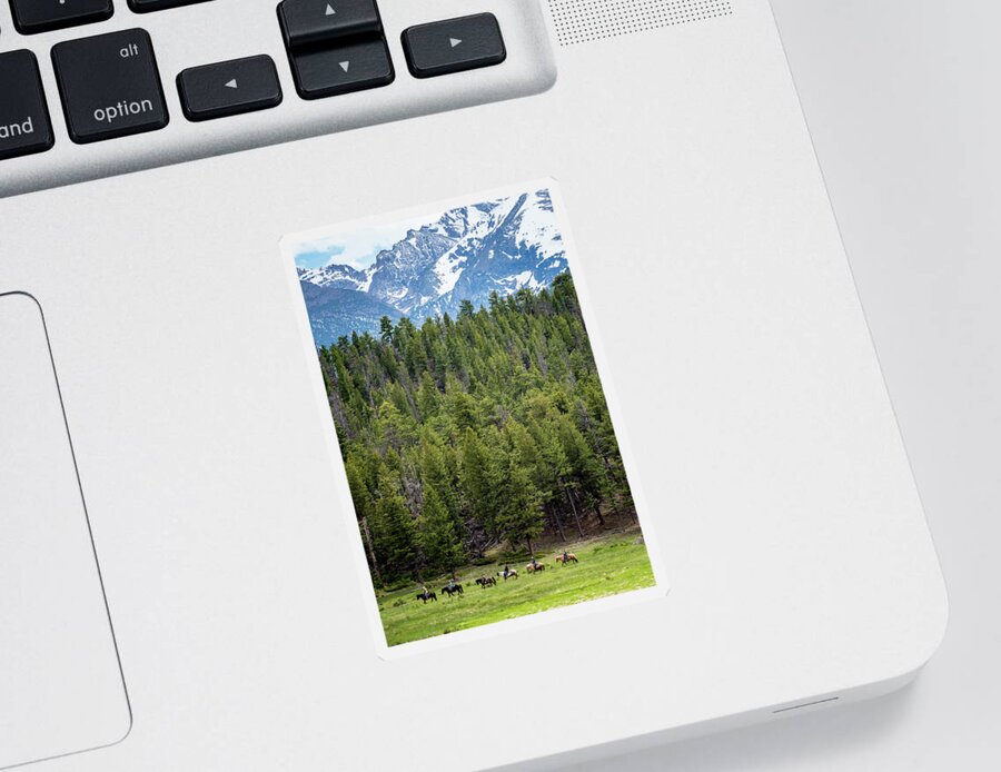 Mountain Sticker featuring the photograph Rocky Mountain Trailride by David Morefield