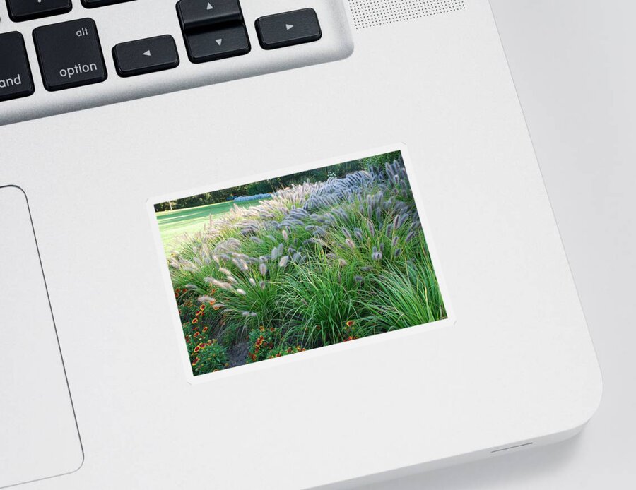 Outdoors Sticker featuring the photograph Root Grass And Blanket Flowers by Ee Photography