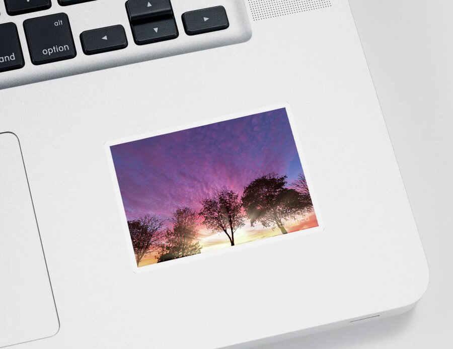 Alone Sticker featuring the photograph Rural purple sunset over winter trees by Simon Bratt