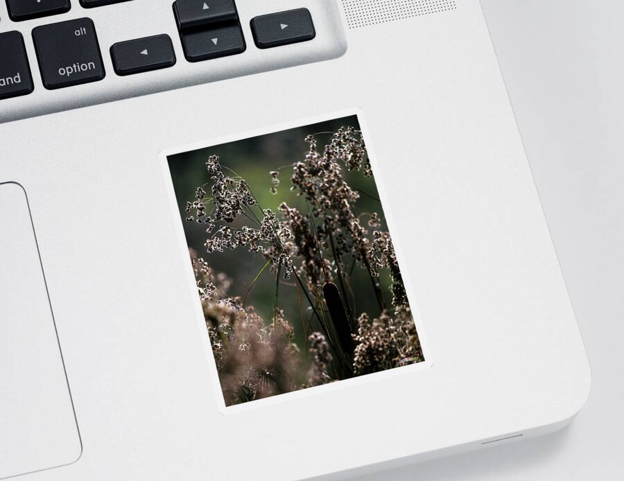 Marsh Sticker featuring the photograph Rushes and Cattails 7G by Gerry Gantt