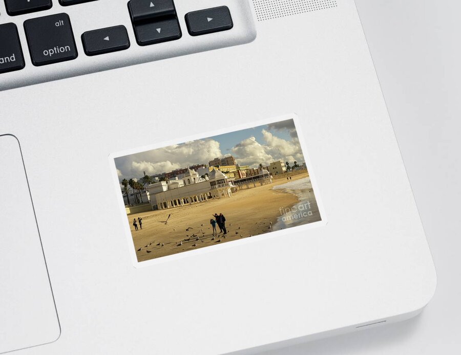 Beautiful Sticker featuring the photograph Seagulls at Caleta Beach Cadiz Spain by Pablo Avanzini