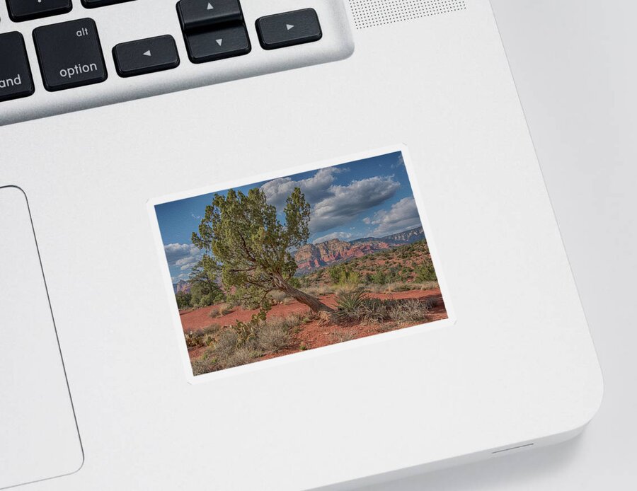 Sedona Sticker featuring the photograph Sedona red rock and tree by Alan Goldberg