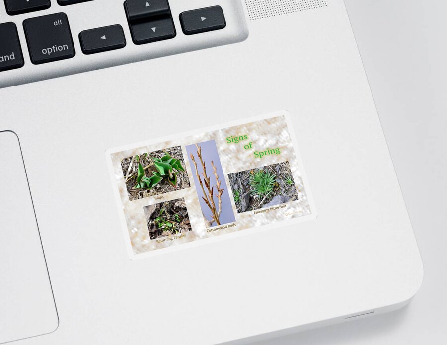 Leaves Sticker featuring the photograph Signs of Spring by Kae Cheatham