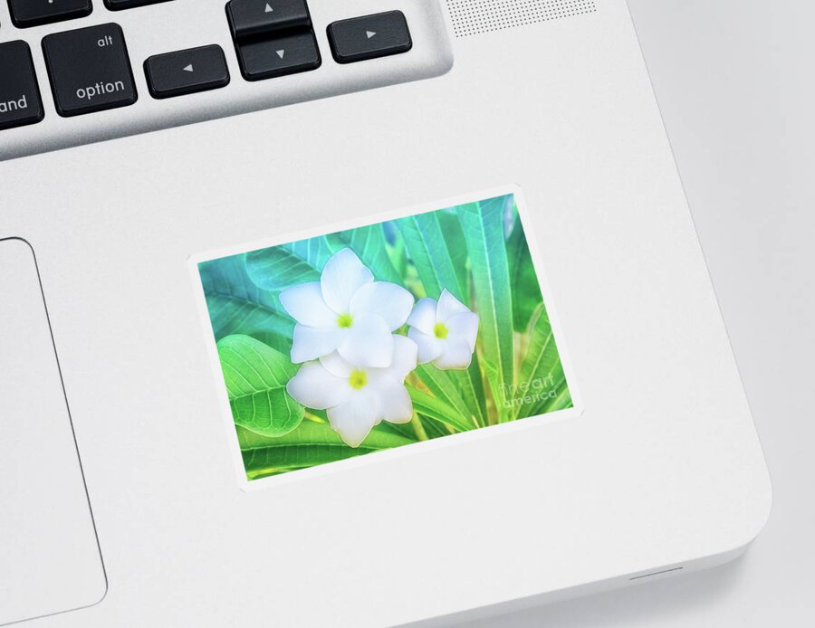 Botanical Sticker featuring the photograph Soft and Light 12 by Becqi Sherman