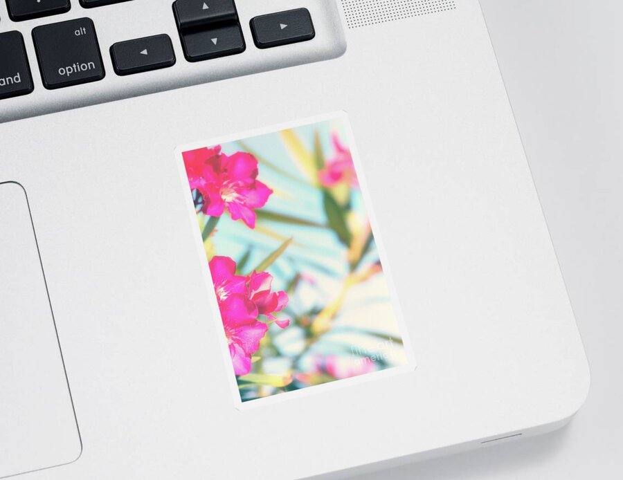 Pink Flowers Sticker featuring the photograph Soft and Light 7 by Becqi Sherman