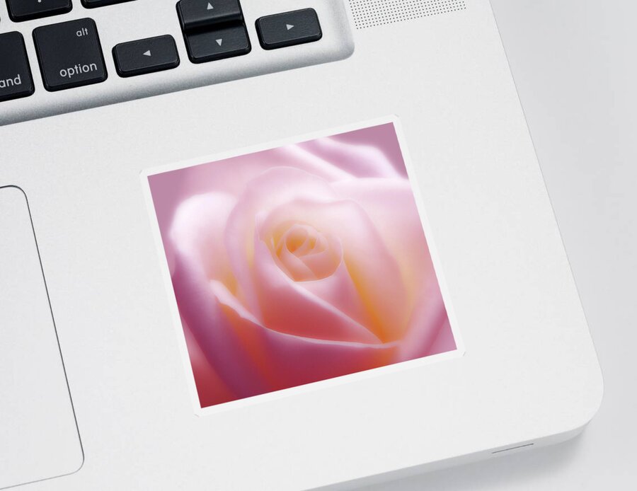 Rose Sticker featuring the photograph Soft Beauty by Johanna Hurmerinta
