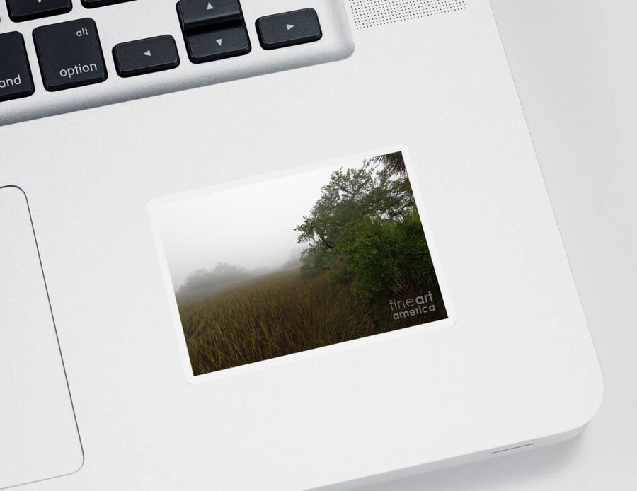 Fog Sticker featuring the photograph Southern Framed Fog by Dale Powell