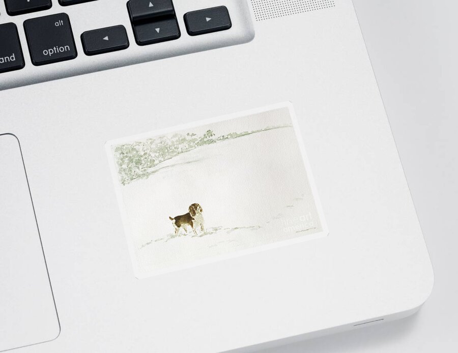 Dog Sticker featuring the painting Springer Spaniel In The Snow by Suzi Kennett