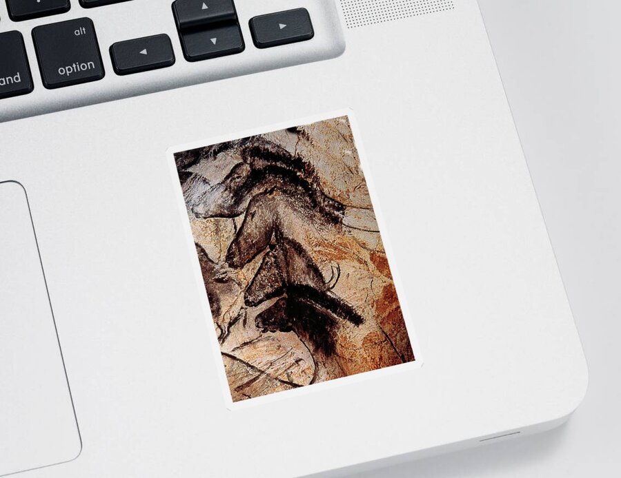 Palaeolithic Sticker featuring the photograph Stone-age Cave Paintings, Chauvet, France by Doc Braham