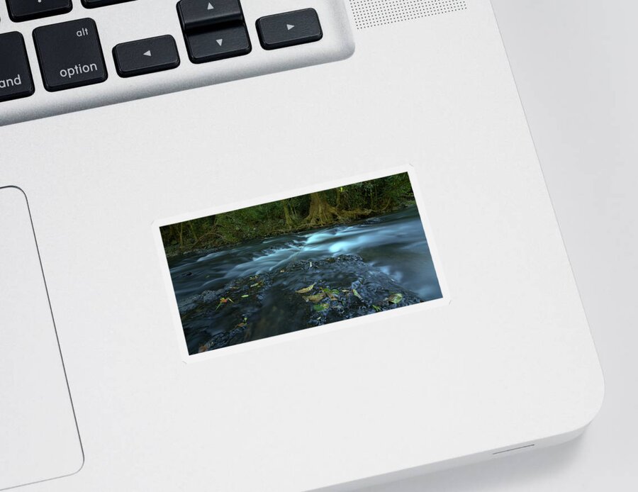 Stream Sticker featuring the photograph Stream by Nicolas Lombard