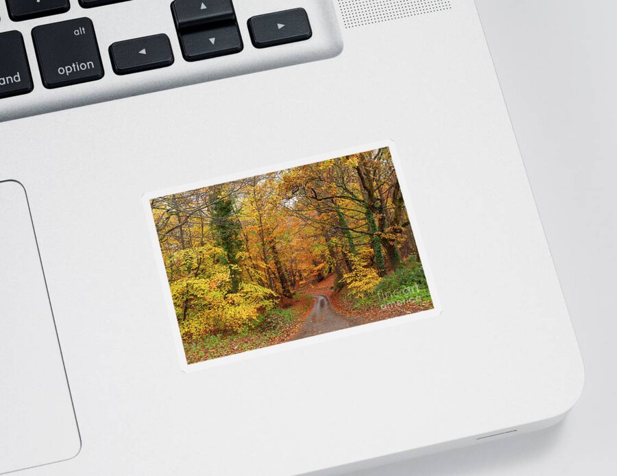 Autumn Sticker featuring the photograph Stunning English autumn forest colours with path by Simon Bratt