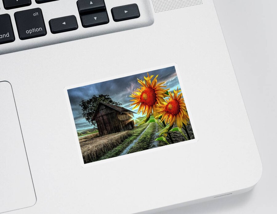 American Sticker featuring the photograph Sunflower Watch at Nightfall by Debra and Dave Vanderlaan