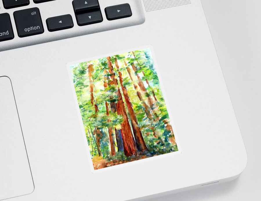Redwoods Sticker featuring the painting Sunlight through Redwood Trees by Carlin Blahnik CarlinArtWatercolor