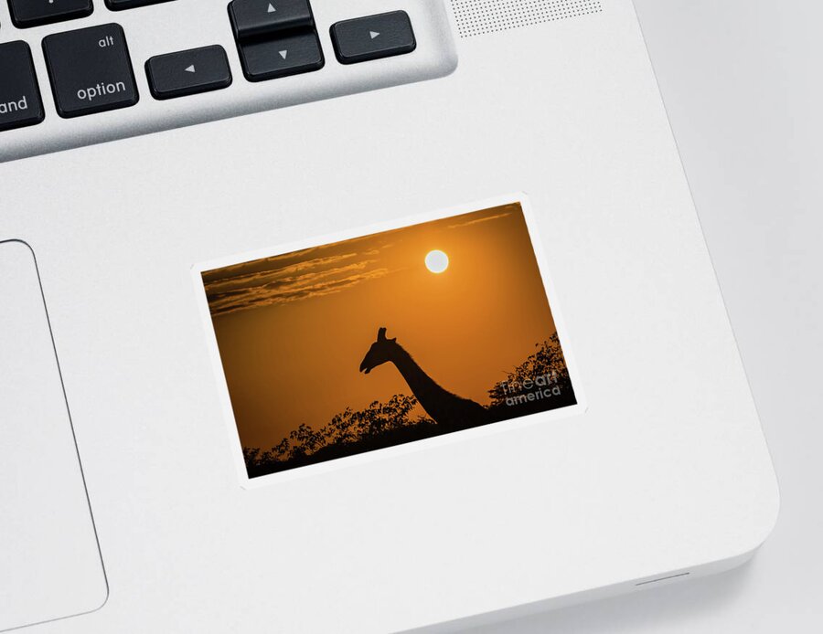Giraffe Sticker featuring the photograph Sunrise over the Etosha National Park, Namibia by Lyl Dil Creations