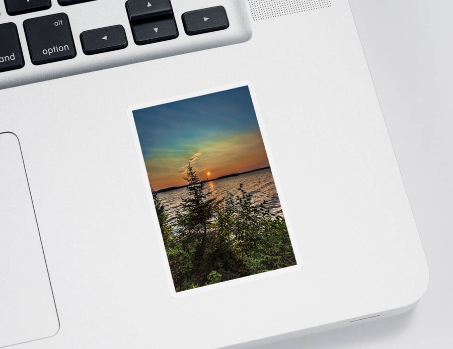 Dog Lake Sticker featuring the photograph Sunset pine by Joe Holley