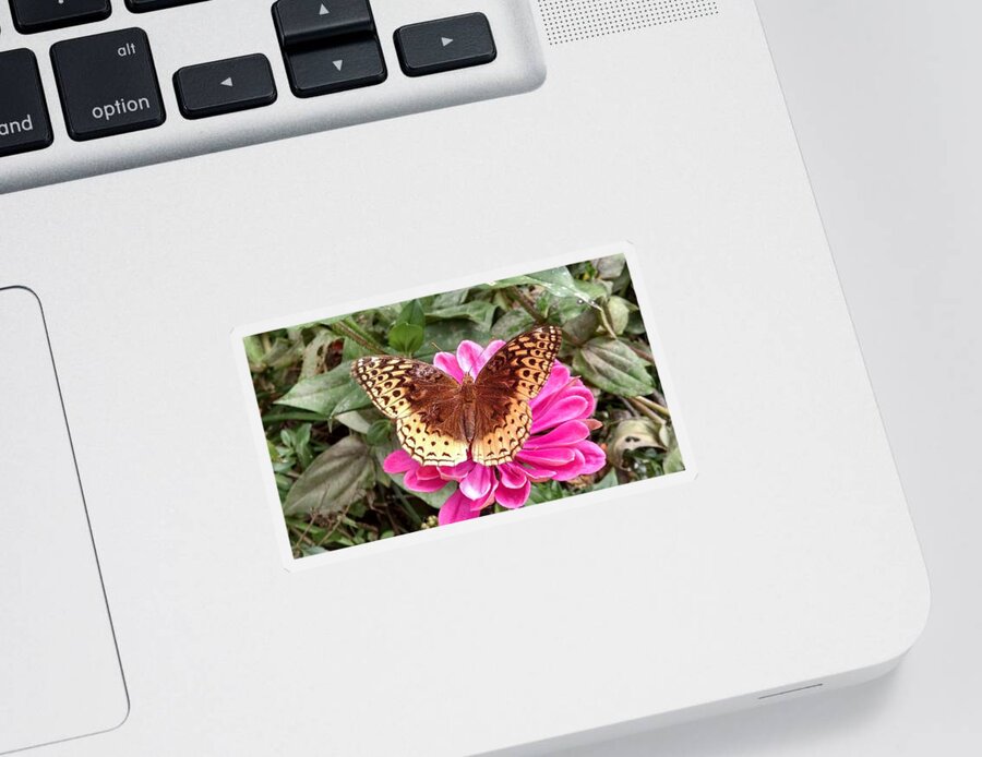Butterfly Sticker featuring the photograph Taking A Moment To Rest by Allen Nice-Webb