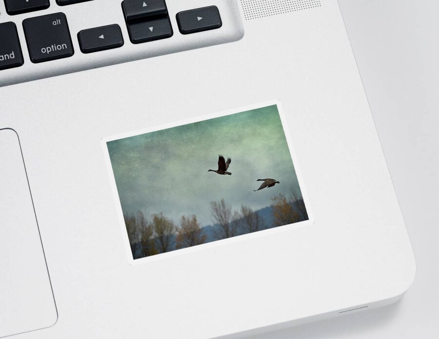 Geese Sticker featuring the photograph Taking Flight by Belinda Greb