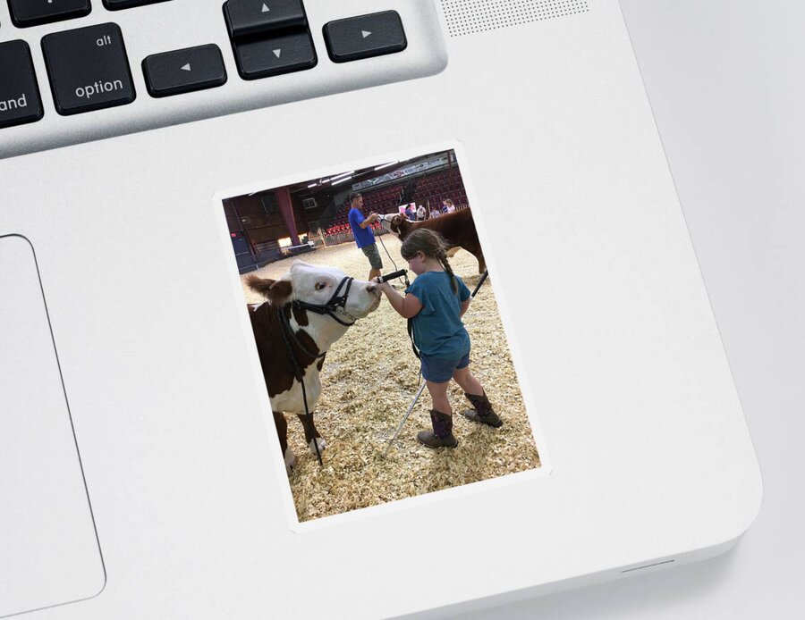 Livestock Sticker featuring the photograph Taking the boss lead by Toni Hopper