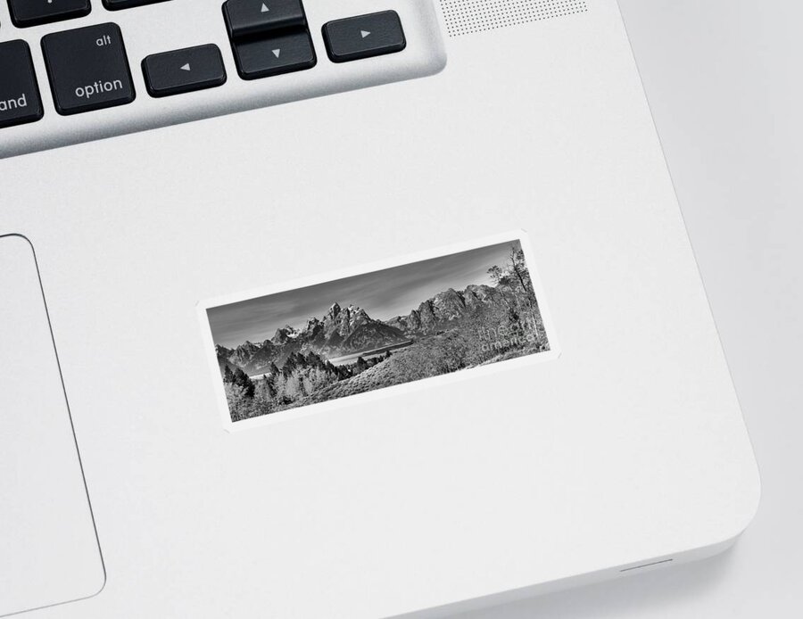 Grand Teton Sticker featuring the photograph Teton Aspen Gold Panorama Black And White by Adam Jewell