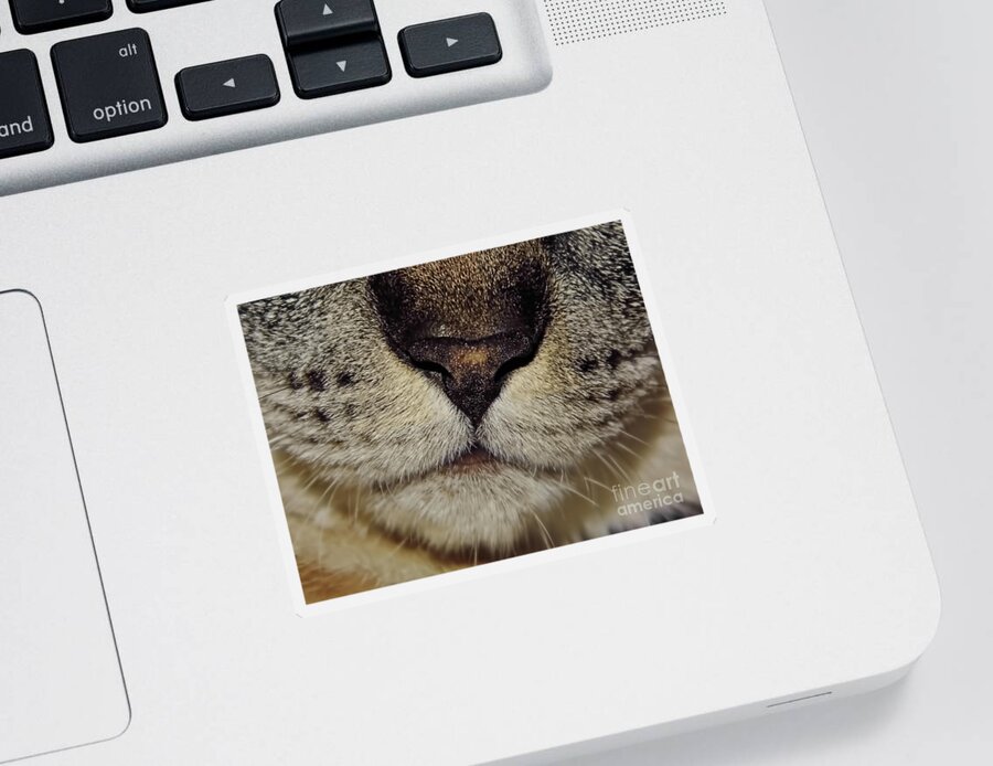 Nose Sticker featuring the photograph The - Cat - Nose by D Hackett