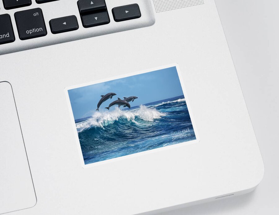 Beauty Sticker featuring the photograph Three Beautiful Dolphins Jumping by Willyam Bradberry