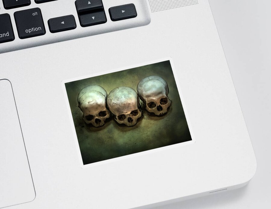 Bone Sticker featuring the photograph Three human skulls by Jaroslaw Blaminsky