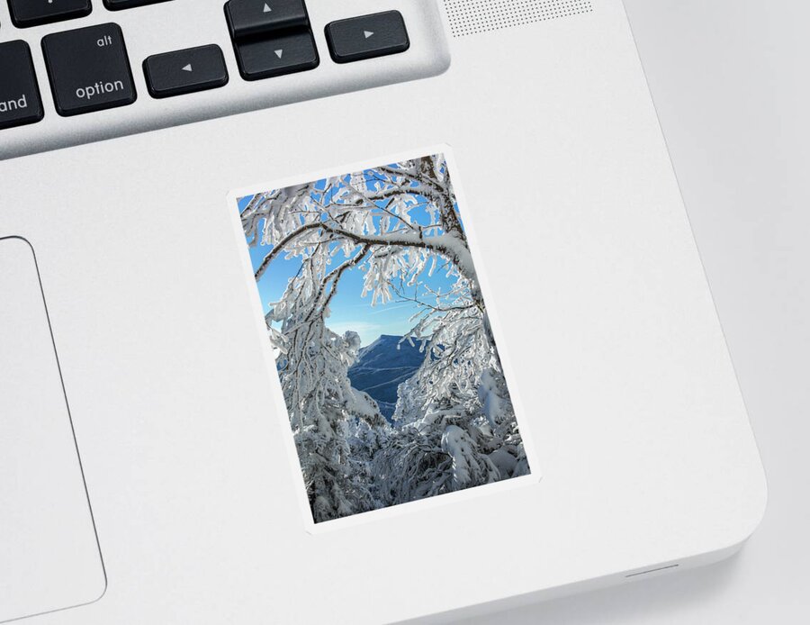 New Hampshire Sticker featuring the photograph Through the Trees by White Mountain Images