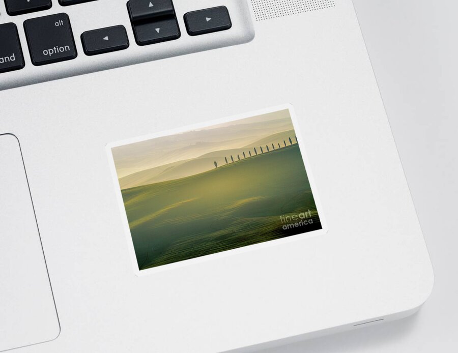 Landscape Sticker featuring the photograph Tuscany Landscape with Cypress Trees by Heiko Koehrer-Wagner