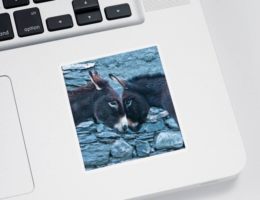 Burro Sticker featuring the photograph Eye To Eye, Nose To Nose, Heart To Heart by Leslie Struxness