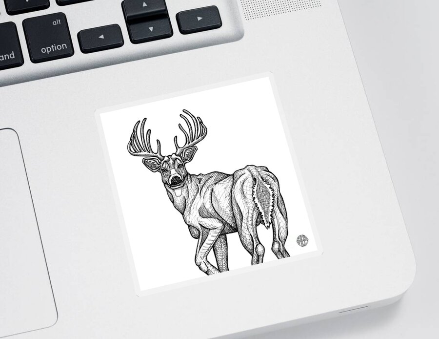 White Tailed Buck Sticker featuring the drawing White Tailed Buck by Amy E Fraser