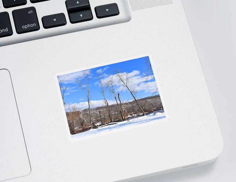 Derby Sticker featuring the photograph Winter Trees Against the Sky by Nina Kindred