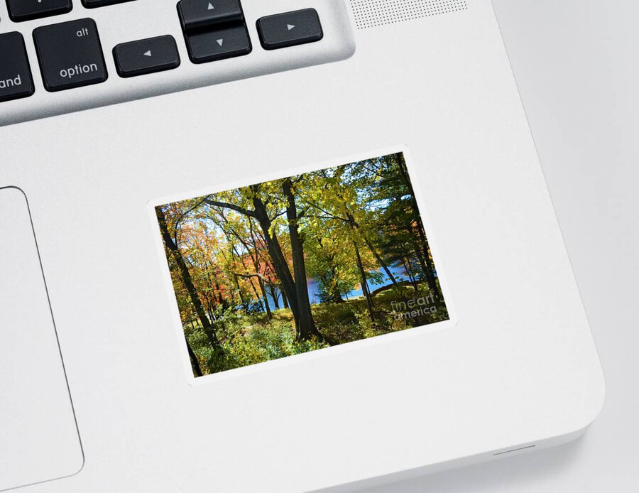 Trees Sticker featuring the photograph With Trees and Water by Dani McEvoy