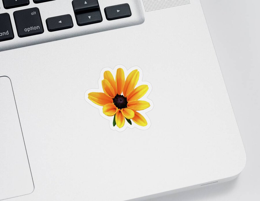 Yellow Flowers Sticker featuring the photograph Yellow Flower Black Eyed Susan by Christina Rollo