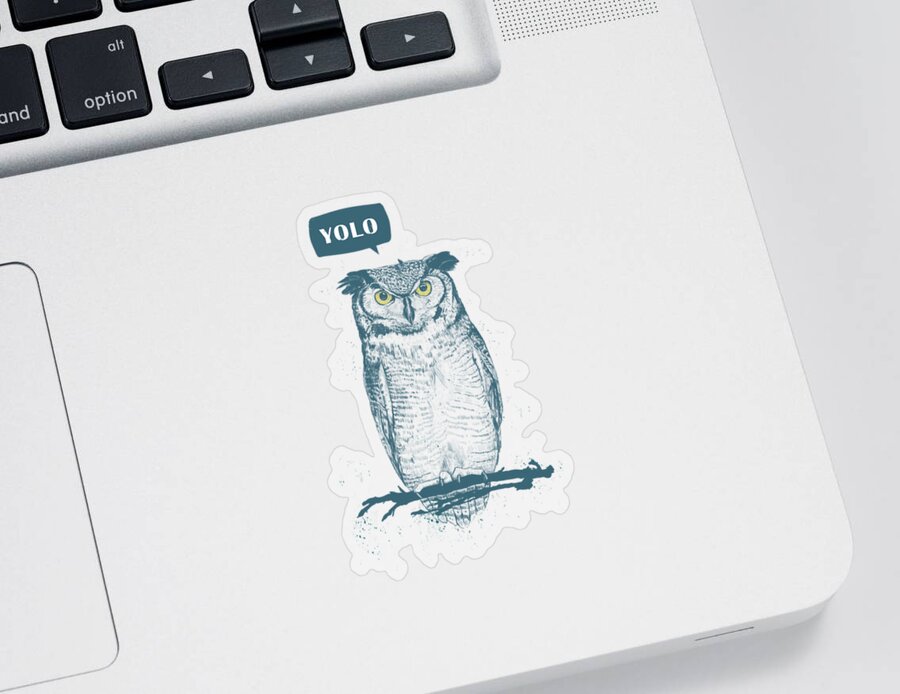 Owl Sticker featuring the mixed media Yolo by Balazs Solti