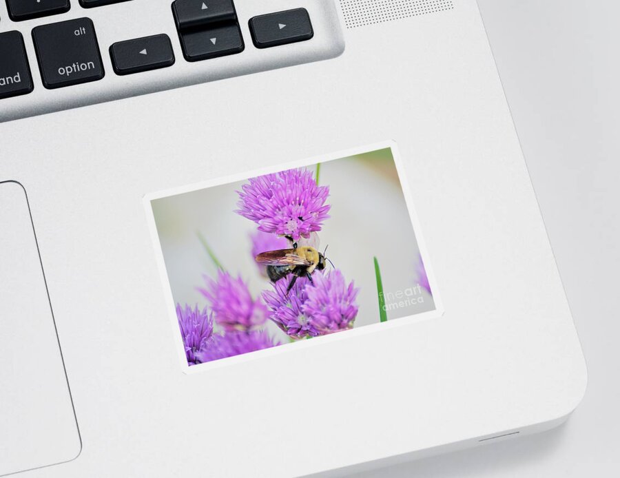 Chives Sticker featuring the photograph Yummy by Merle Grenz
