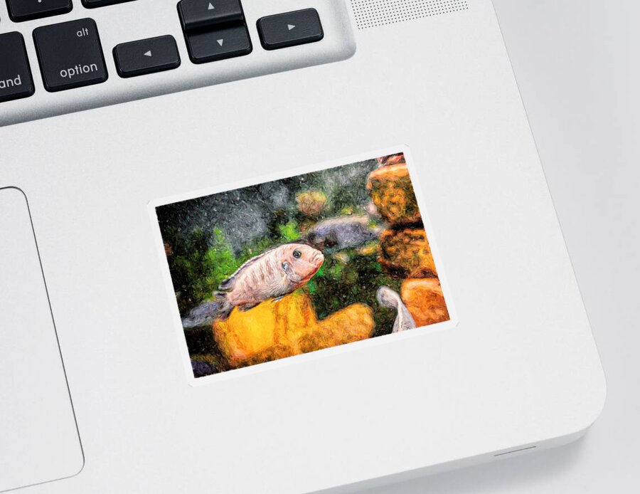 African Cichlid Sticker featuring the digital art Zebra Cichlid Toned by Don Northup
