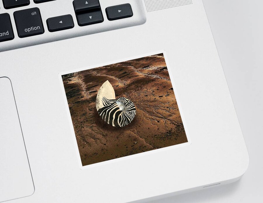 Nautilus Shell Sticker featuring the mixed media Zebra Nautilus Shell on the Sand by Joan Stratton