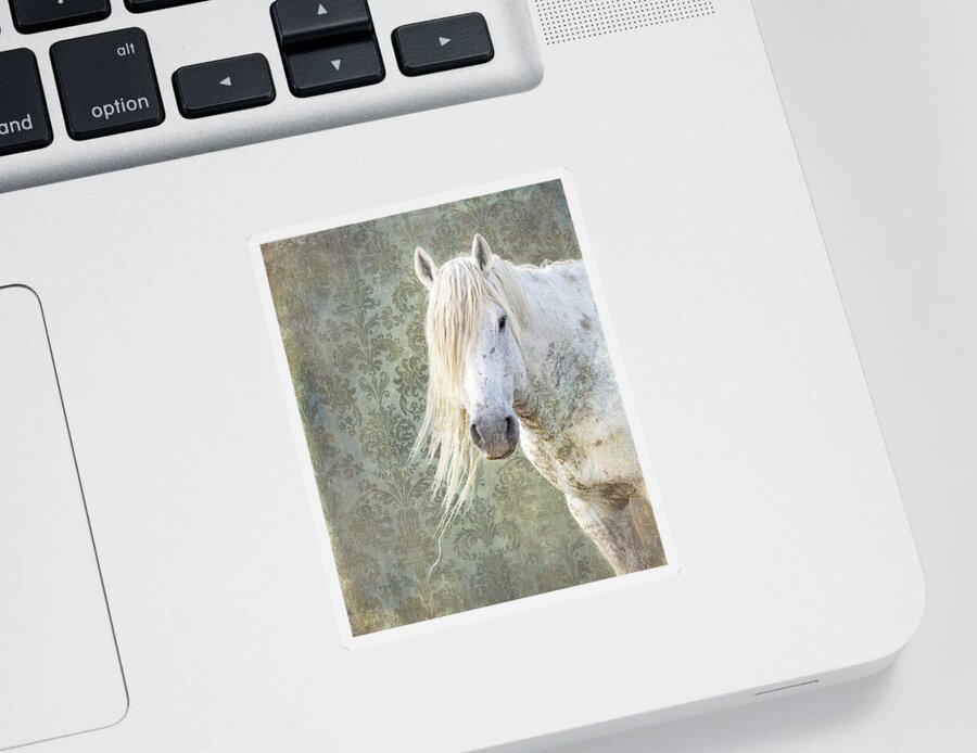 Fine Art Photography Sticker featuring the photograph A Life Well Lived by Mary Hone