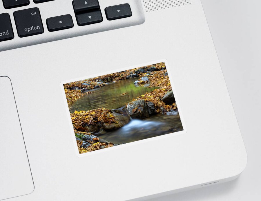 Water Sticker featuring the photograph A little cascade in the Carpathian Mountains in fall season by Sebastian Radu
