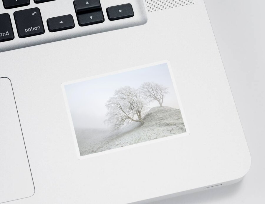 Winter Sticker featuring the photograph Sentinels by Anita Nicholson