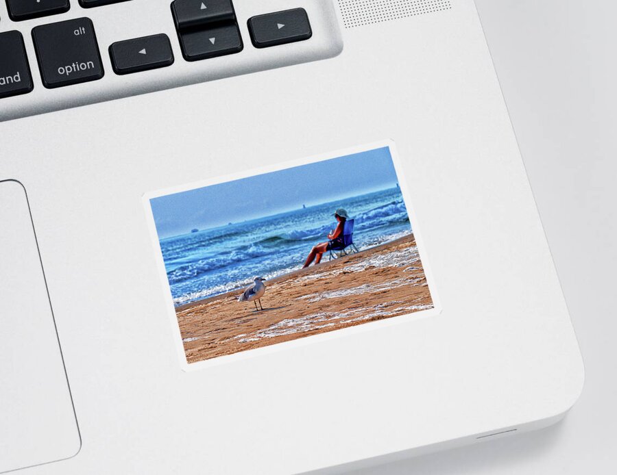 Seagull With Beach Bum Sticker featuring the photograph Ahh.. The Beach #1 by Steve Templeton