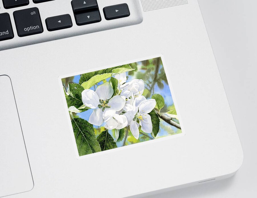 Apple Blossoms Sticker featuring the painting Apple Blossoms by Espero Art