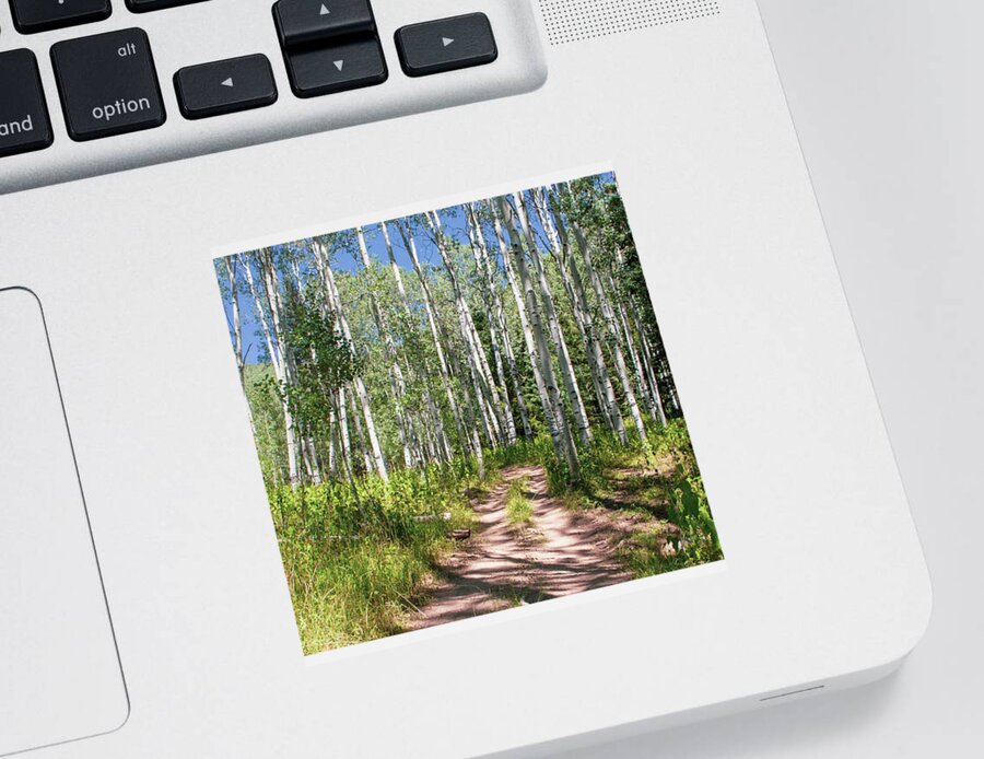 Tranquil Sticker featuring the photograph Aspen Trail #1 by K Bradley Washburn