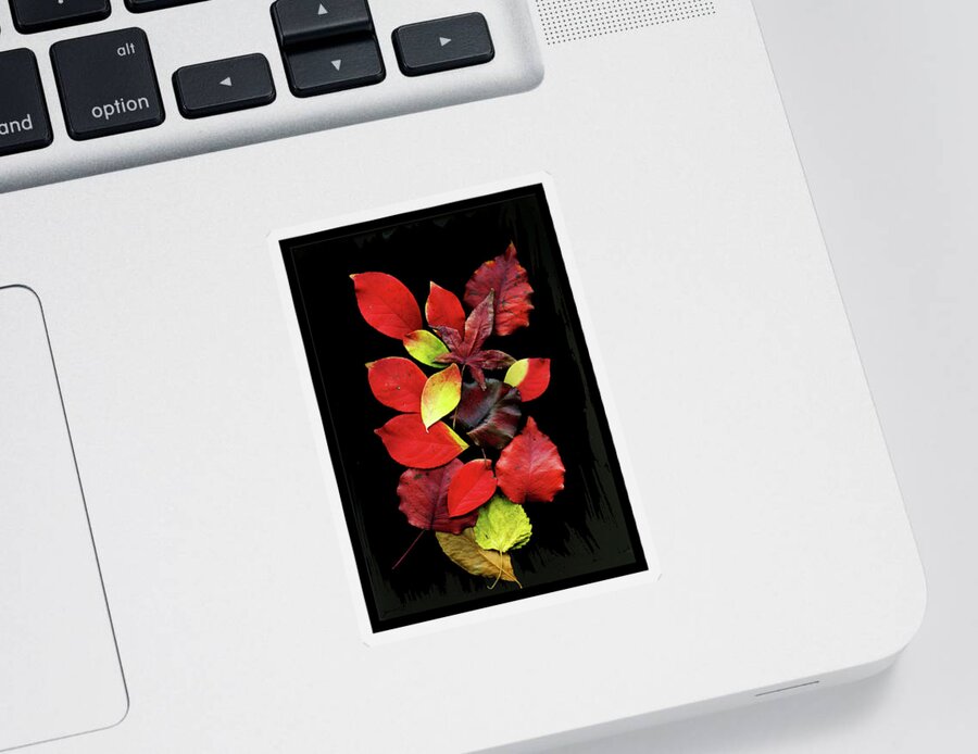Nature Sticker featuring the photograph Autumn Colors by Gerlinde Keating - Galleria GK Keating Associates Inc