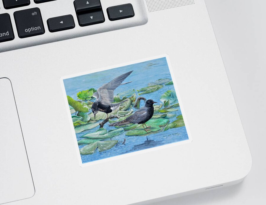Black Tern Sticker featuring the painting Black Terns #1 by Barry Kent MacKay