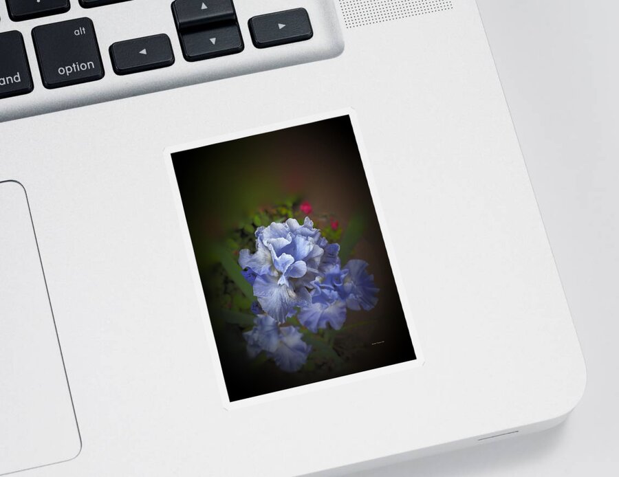 Botanical Sticker featuring the photograph Blue Green Red #1 by Richard Thomas