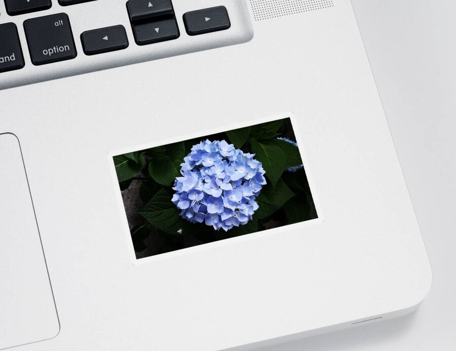 Flower Sticker featuring the photograph Blue #2 by Tanja Leuenberger